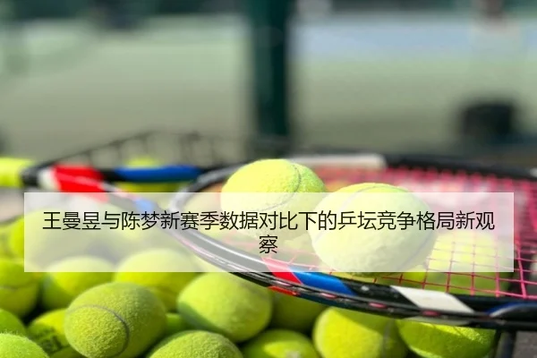 王曼昱与陈梦新赛季数据对比下的乒坛竞争格局新观察