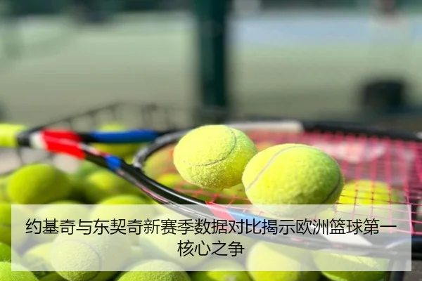 约基奇与东契奇新赛季数据对比揭示欧洲篮球第一核心之争
